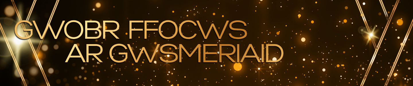 Gwobr Ffocws ar Gwsmeriaid    
