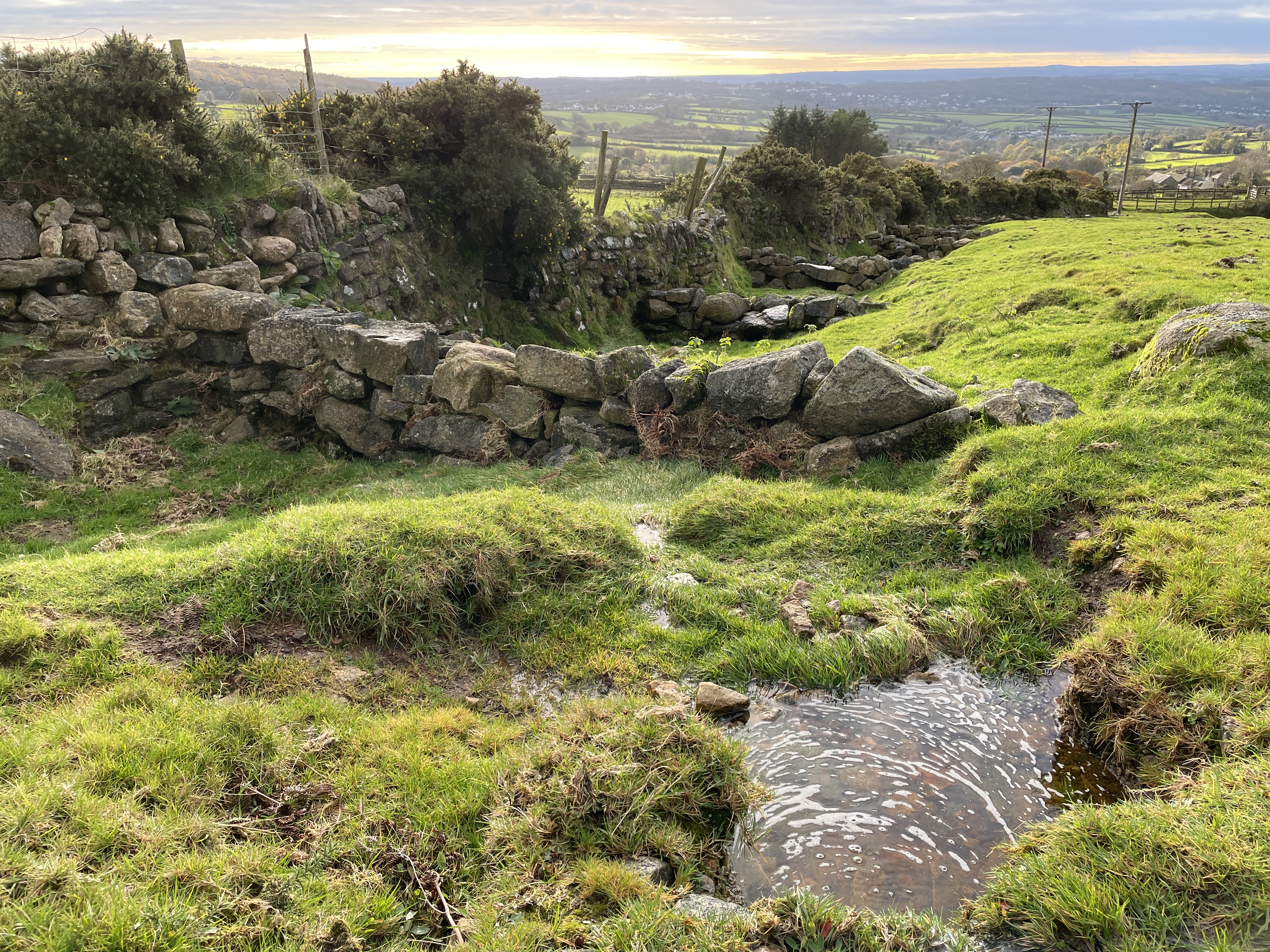 A picture of a grassy upland hill, with pools of water being held back by a loose stone wall
