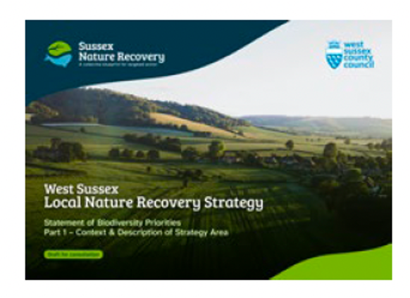 Cover of Part 1 of the LNRS (Thumbnail)