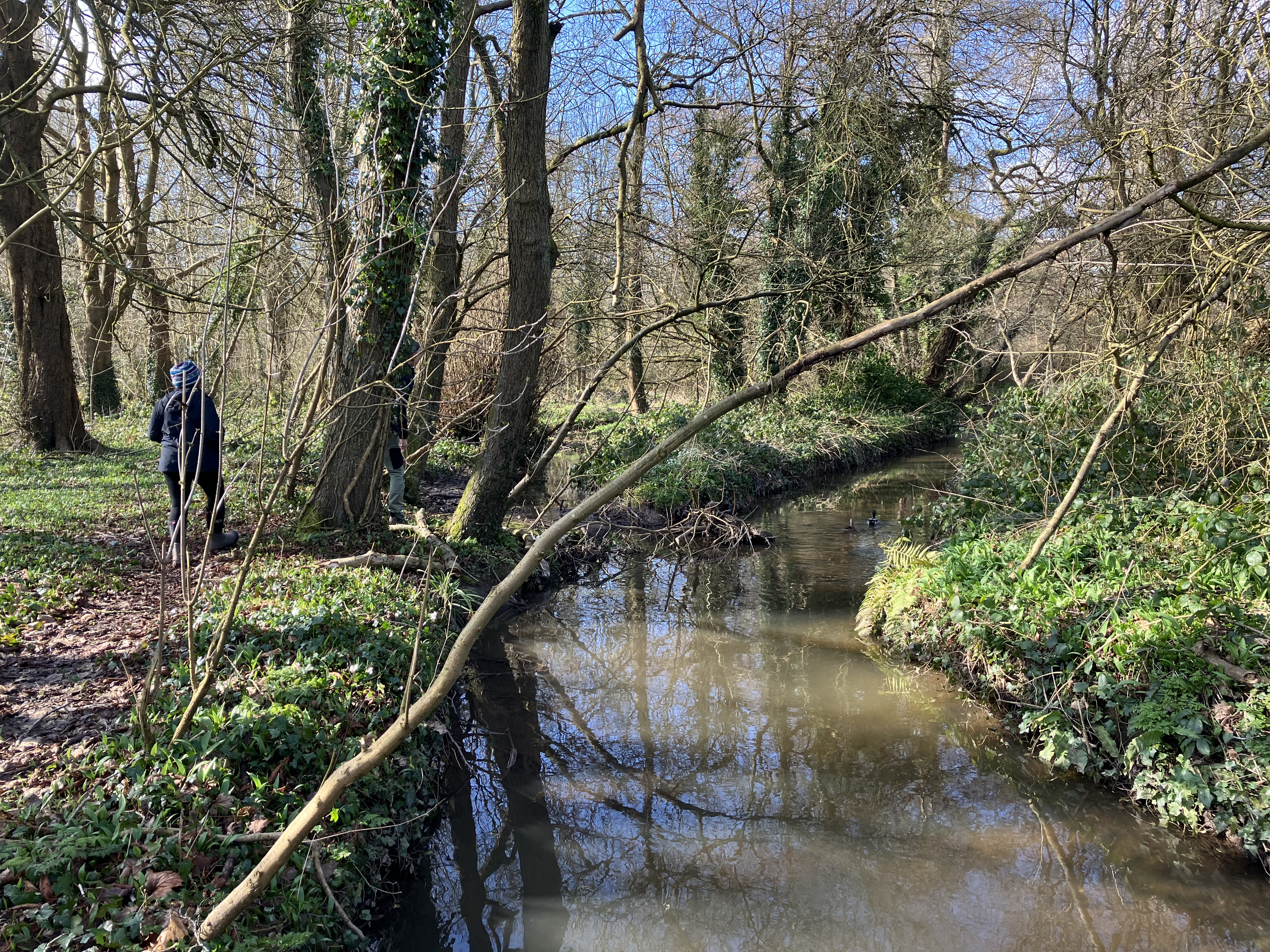 Team member, The Bourn 