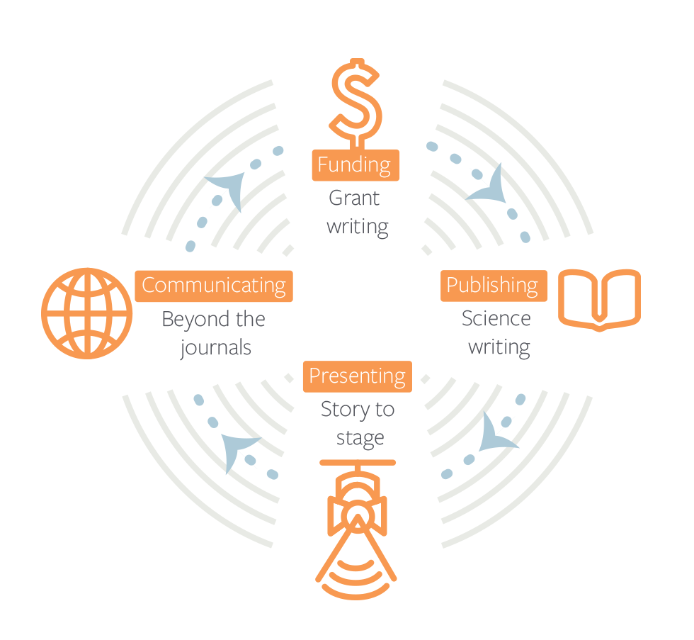 Services training infographic
