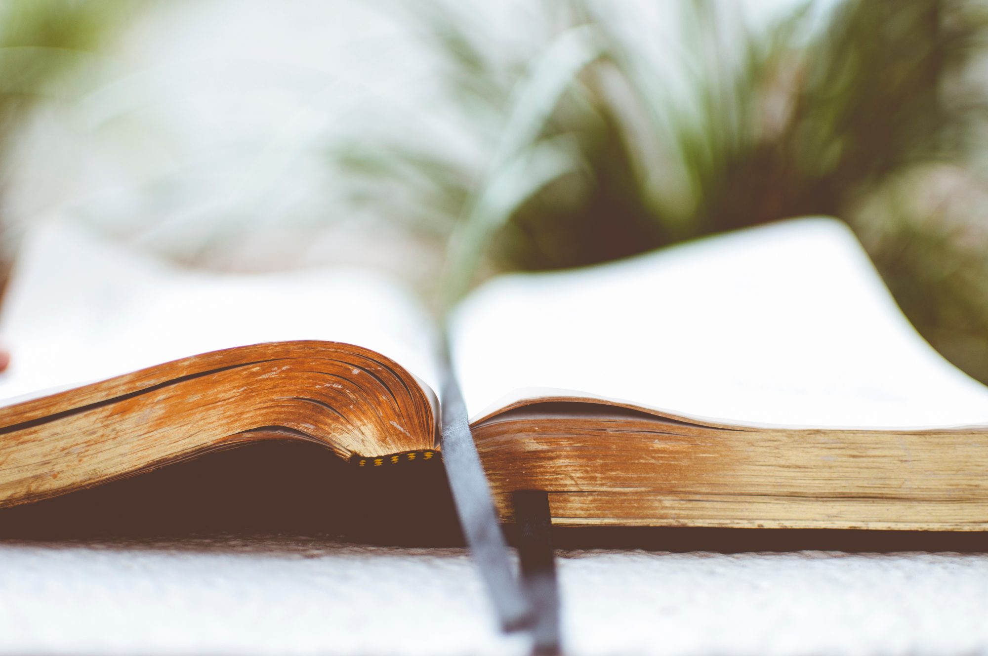 Grant writing book banner image