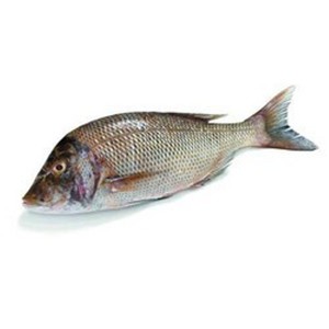 Buy Meats Seafood Supplies Online Sharjah Coop Halwan El Grocer