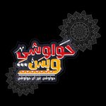 حواوشى وبس