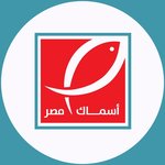 أسماك مصر 