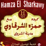 Hamza El Sharkawy  (closed)