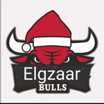 El Gazar Bulls