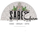 Sabe7 (Closed)