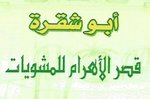 قصر الاهرام