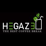 Hegazy 