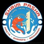 Shrim Pasha (Closed)