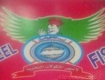 اسماك الجميل