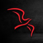 روف ستوري(مغلق )