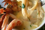 Dolphin Fish photo 5