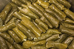 Antar El Kababgy photo 3