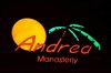 Andrea Manasterly