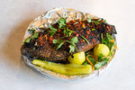 Dolphin Fish photo 3