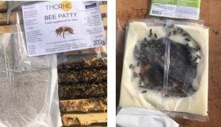 bee trees