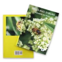 ‘Trees and Shrubs Valuable to Bee’