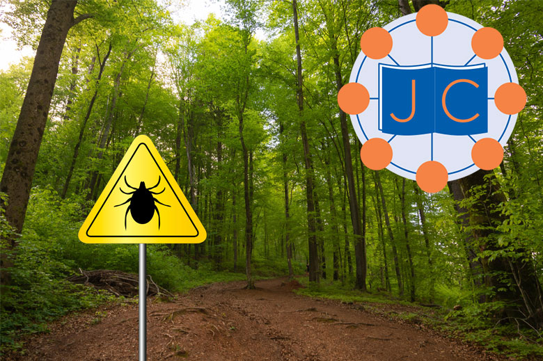 How patients experience the impact of Lyme disease Nursing Times