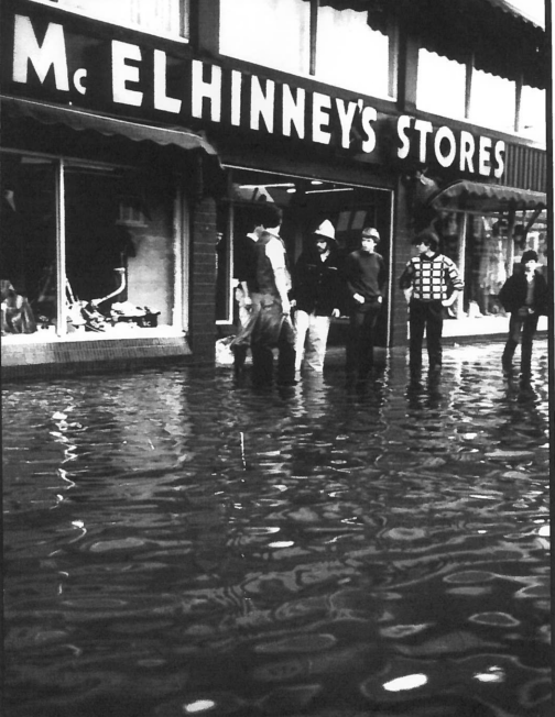 mcelhinneys ladies knitwear