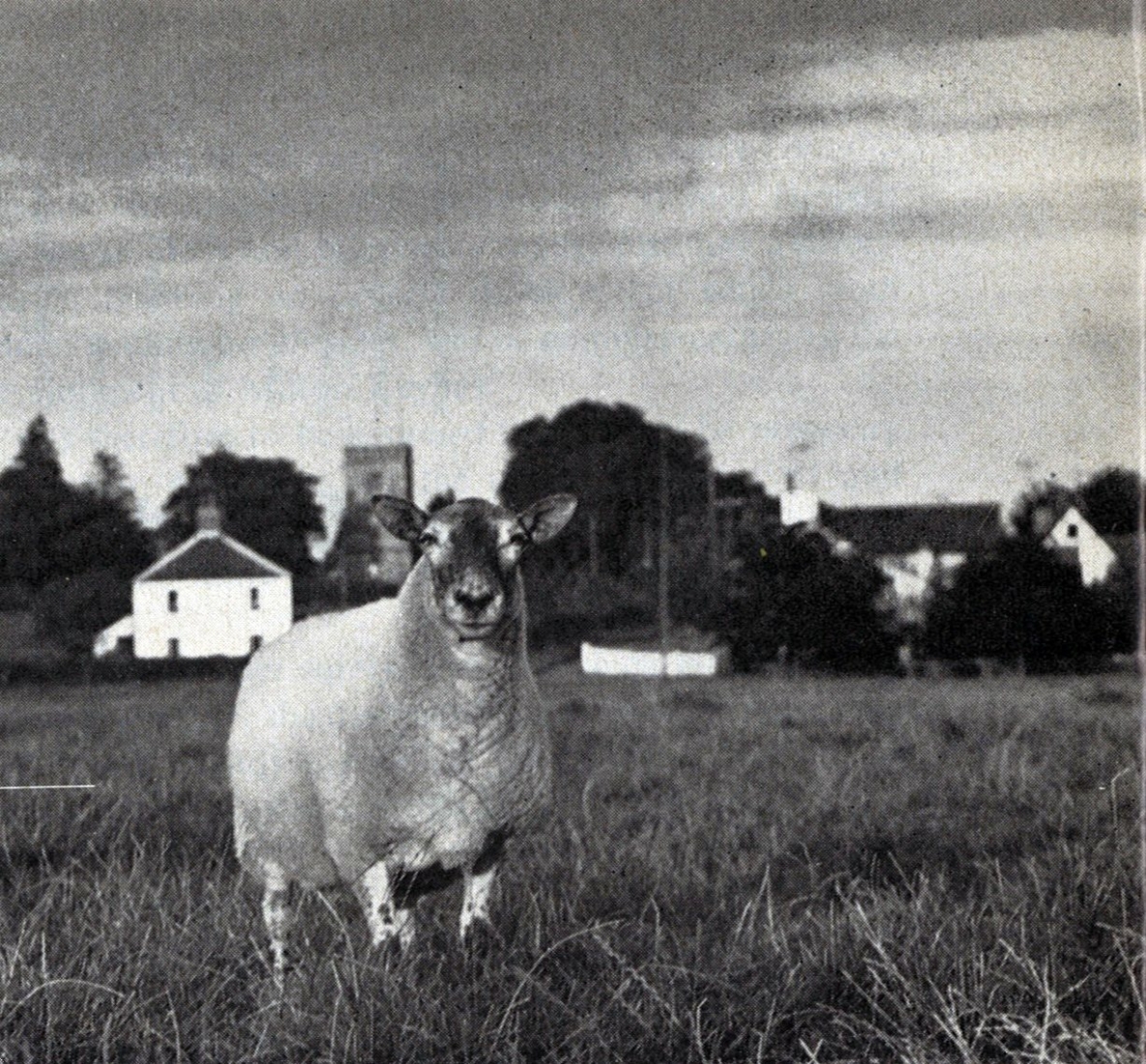 AJ archive Milton Keynes planning study (1969)