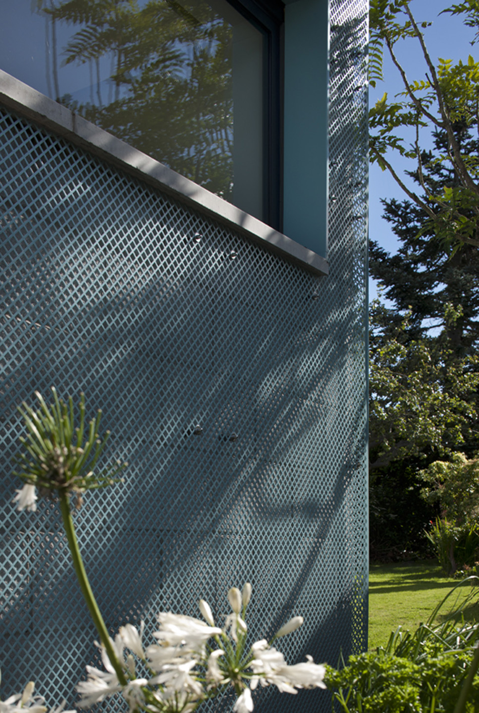 TAP adds trelliscovered extension to refurbished Edinburgh house