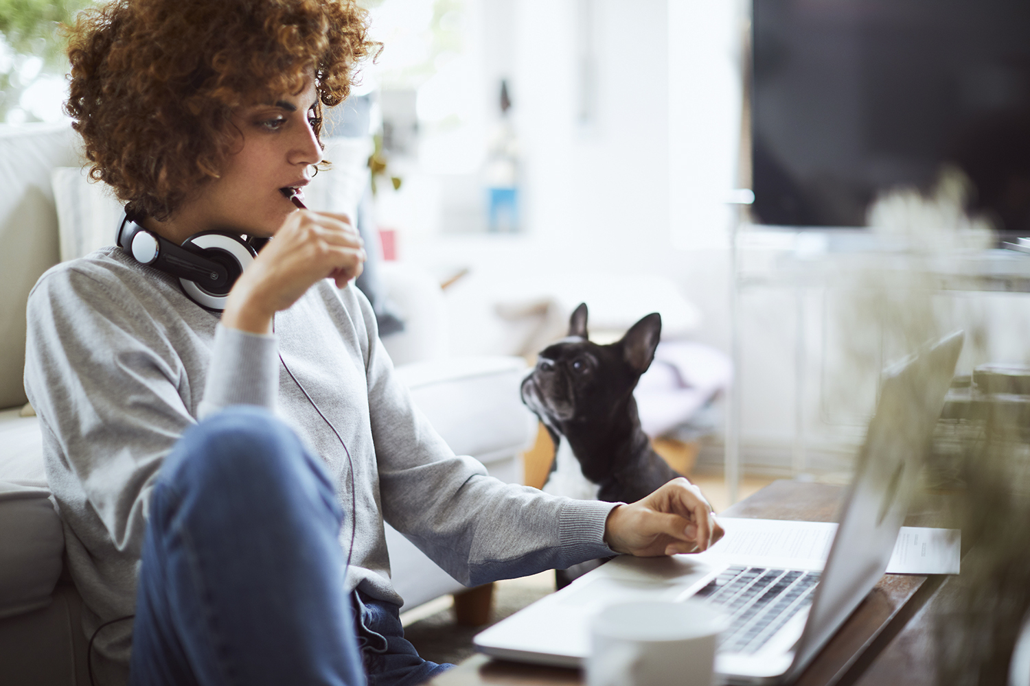 The benefits of a modern GPU for design software - Vimarsana News