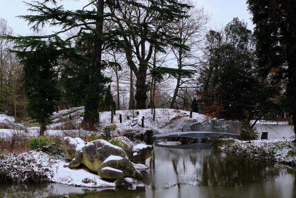Tonkin Liu's crowdfunded dinosaur bridge completes in Crystal Palace - Vimarsana News