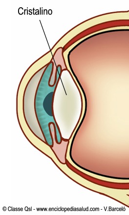 Cristalino del ojo