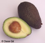 D aguacate