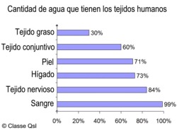 D aguacuerpohumano