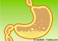 D digestion