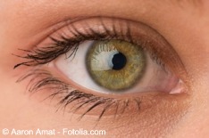 D ojo