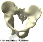 D pelvis