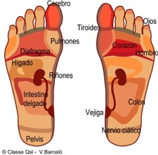 D reflexologiapodal