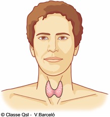 D tiroides