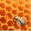 I abeja