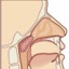 I adenoides