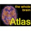 I brainatlas