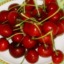 I cerezas