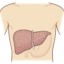I cirrosis