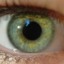 I iris