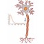 I neurona2