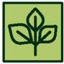 I plantamedicinal
