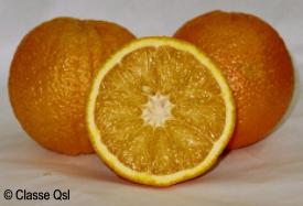 Naranjas
