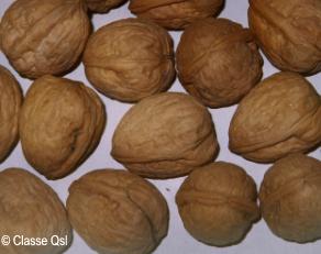 Nueces