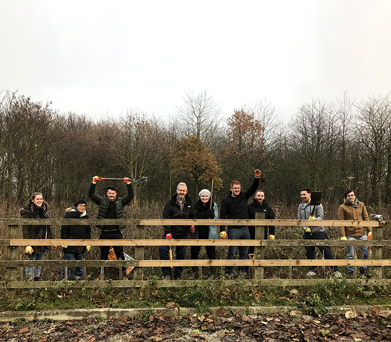 Treeplanting