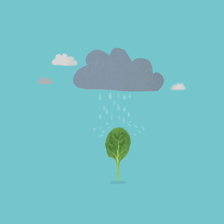 Animation Weather