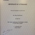 Resmi büyüt: certificate 3